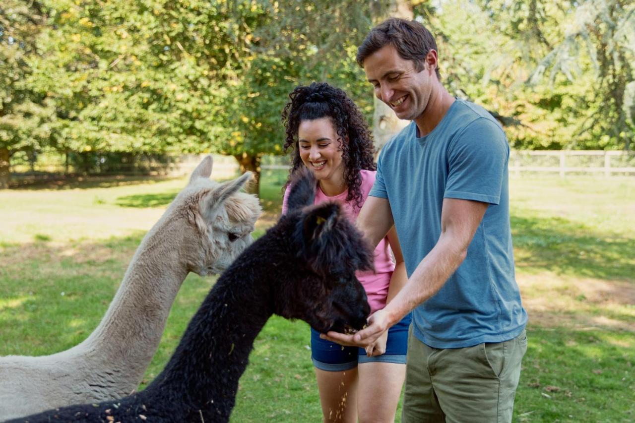 Horsley Hale Farm Glamping Hotel Ely Luaran gambar