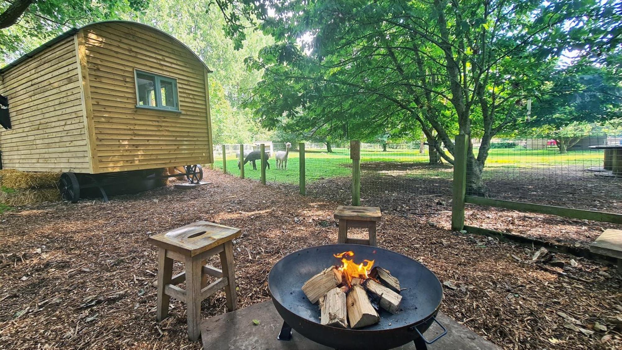 Horsley Hale Farm Glamping Hotel Ely Bilik gambar